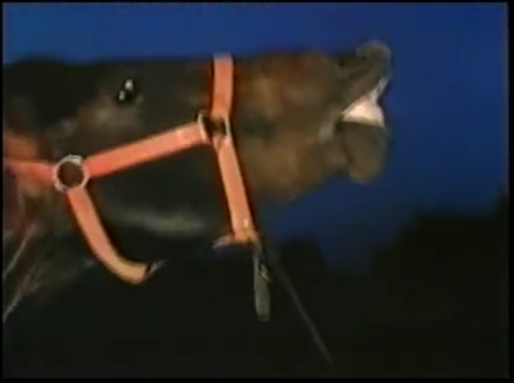 if you know where this is from: lol