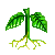 Visit my Poinsettia in Flowergame!