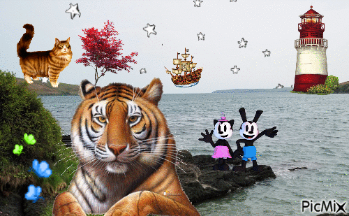 A picmix showing a stormy sea with large cat gifs
